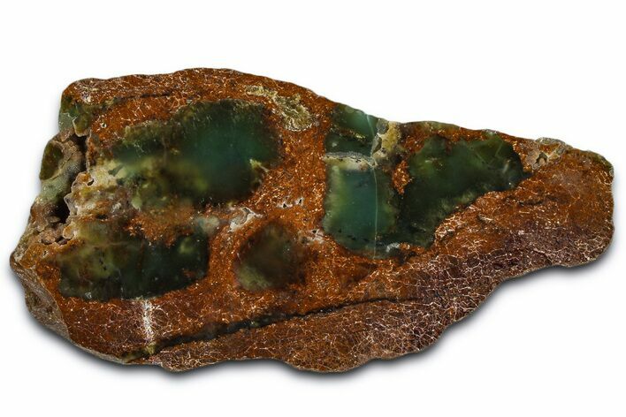 Polished Green Chrysoprase Slab - Western Australia #364241